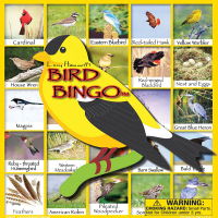 Lucy Hammett Bingo Games